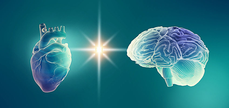 digital looking image of a brain with happy rainbow colors